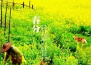 春分