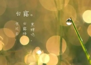 白露