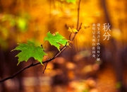 秋分