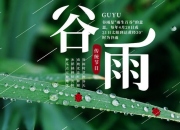 谷雨